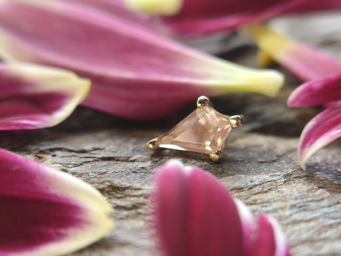 Local natives Le Kite