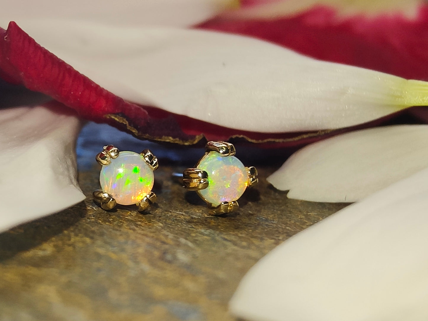 BVLA Genuine Opal Prong