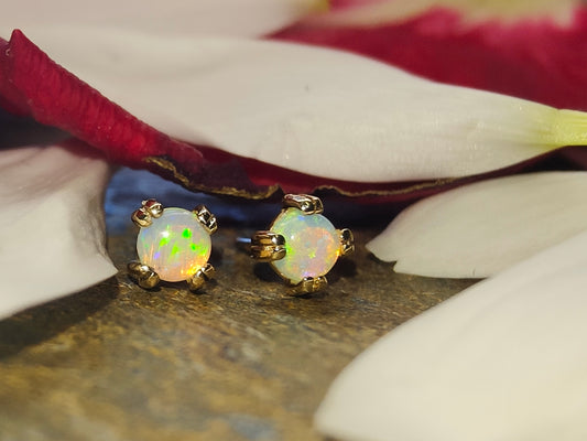 BVLA Genuine Opal Prong