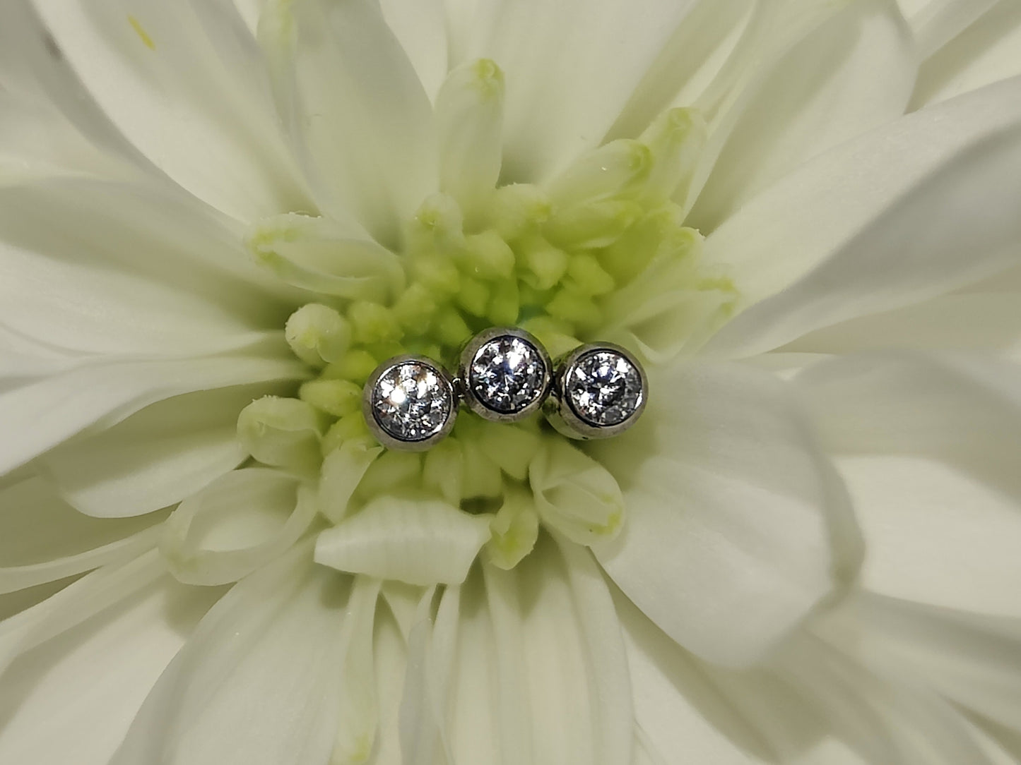 Inari 3 curve cluster