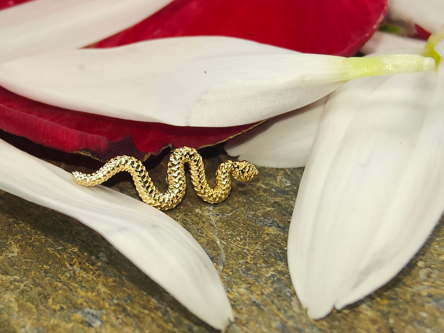 BVLA delicate snake