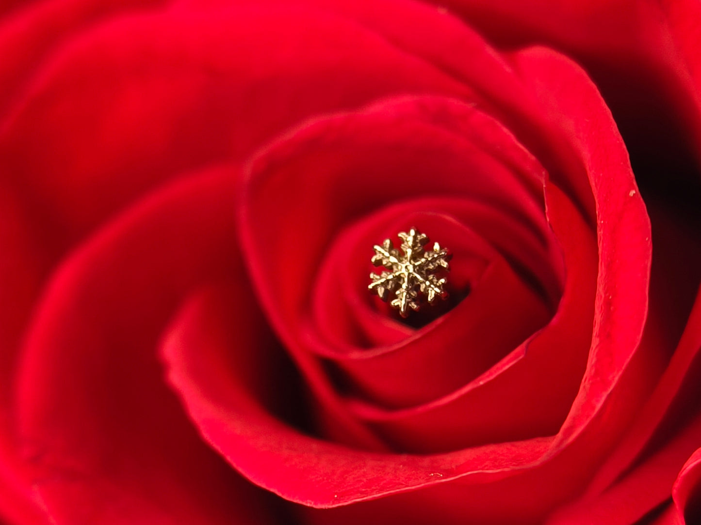 Anatometal snowflakes