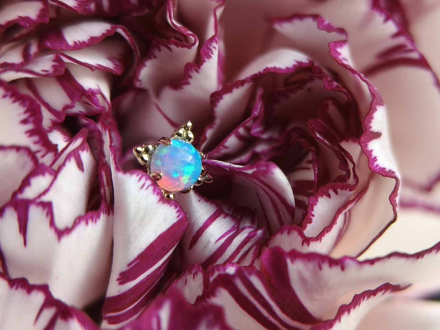 Anato Opal Zia