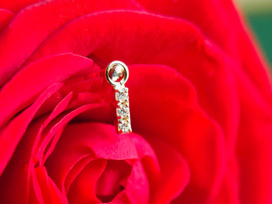 The Bar Pave Chiquito Charm