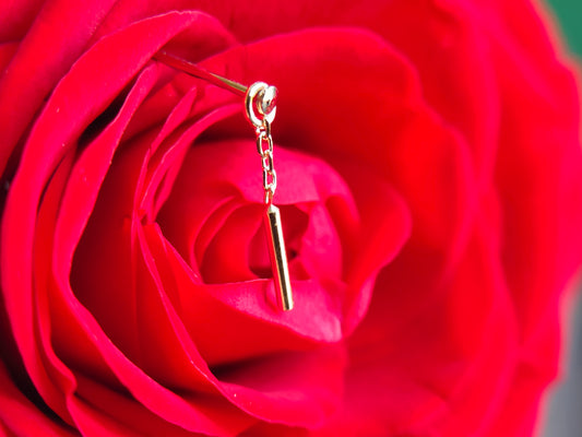 The Pendulo Chiquito