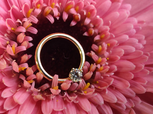 a yellow gold seam ring with a prong set white stone. sat on a pink flower