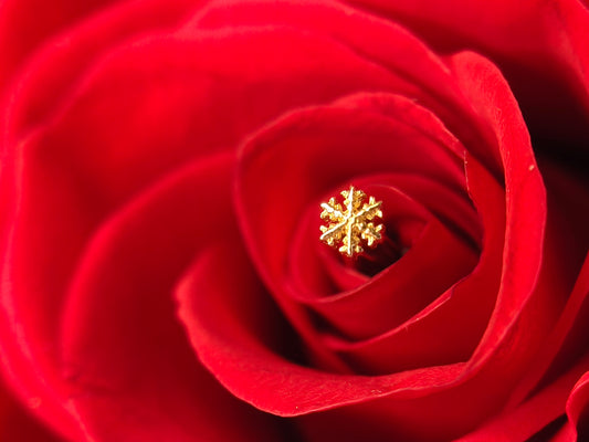 Anatometal snowflakes