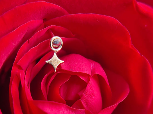 The Sparkle Charm