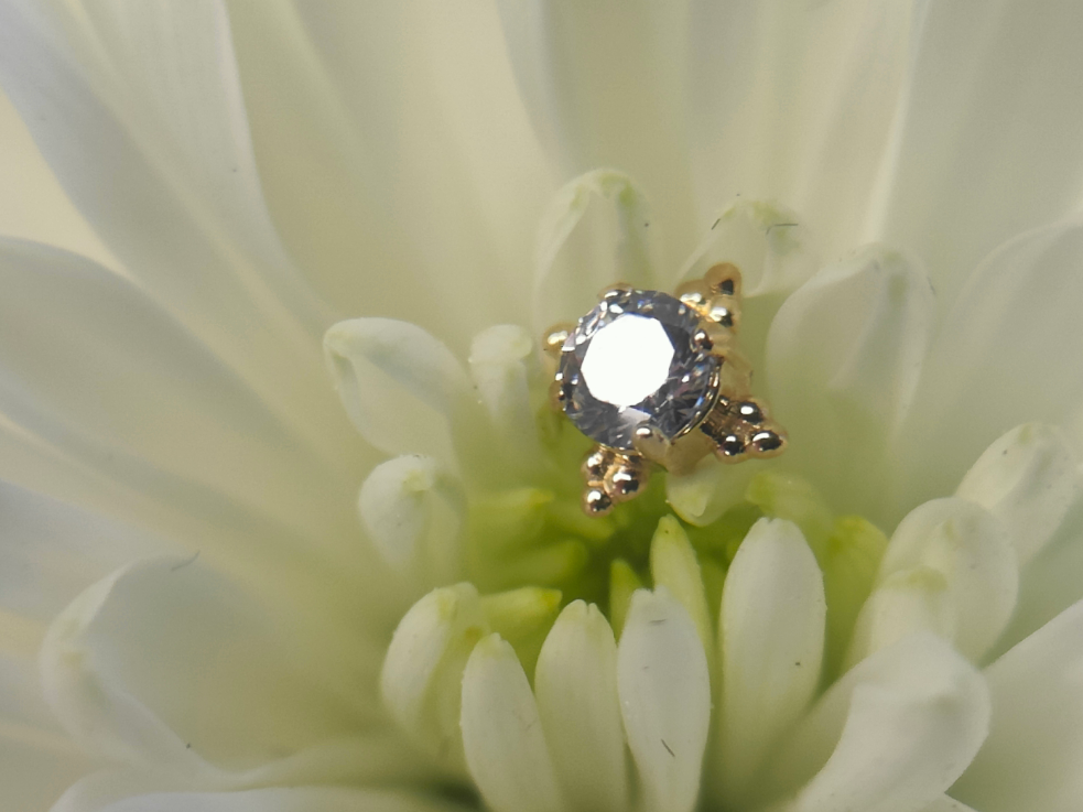 Anato faceted Zia