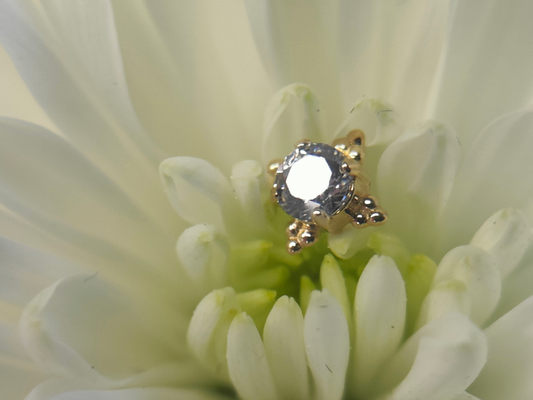 Anato faceted Zia