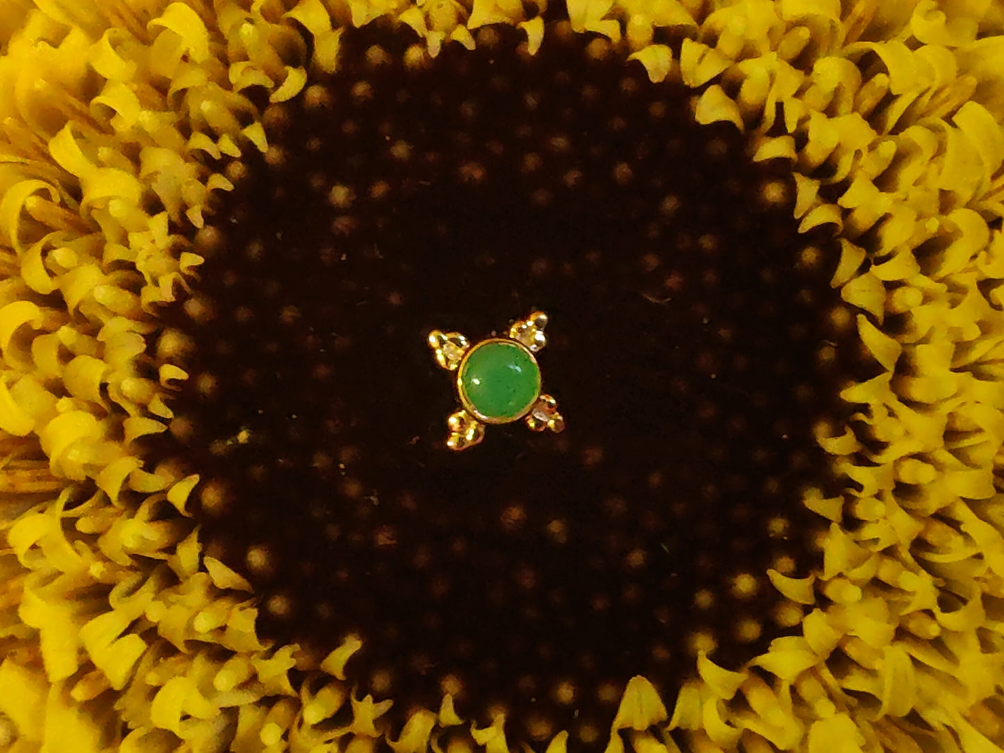 a chrysoprase stone with 4 tri bead accents in yellow gold sat on a yellow flower with a brown centre