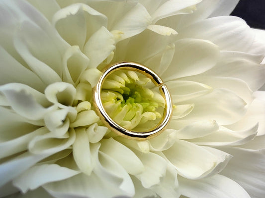 solid yellow gold seamless ring on a white flower